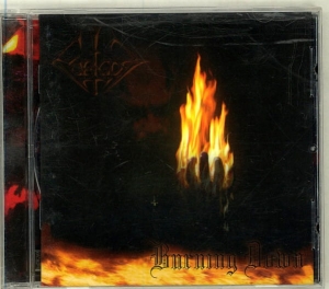 Forgot - Burning Down CD