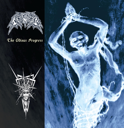 tenebris top JPG.jpg