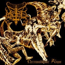 Mord ‎– Necrosodomic Abyss