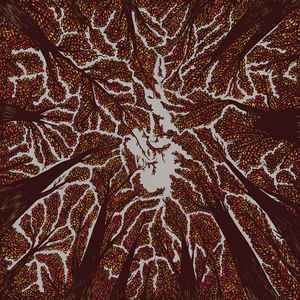 Trash Boat ‎– Crown Shyness CD
