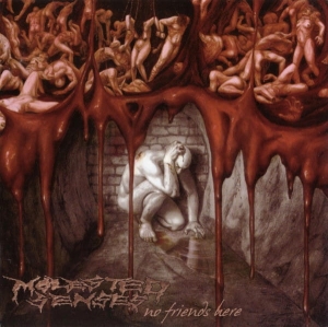 Molested Senses ‎– No Friends Here CD