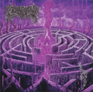 Civerous - Maze Envy CD