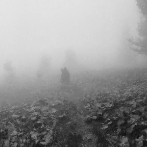 Thaw - St. Phenome Alley CD