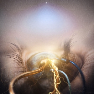 The Agonist - Eye Of Providence CD