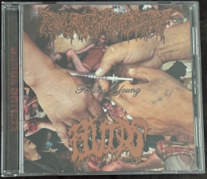 Pharmacist / Fluids - Feeling Young CD