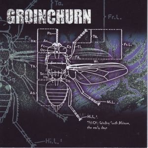 Groinchurn ‎– Thuck - Grinding South Africore, The Early Days CD