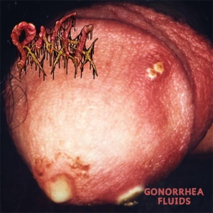 Pankreatite Necro Hemorrágica / Necrocannibalistic Vomitorium ‎– Gonorrhea Fluids / Suspension CD