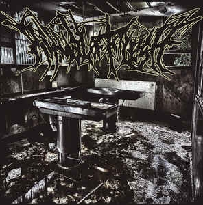 Ritual Of Flesh ‎– Splatter Grind Abortion CD