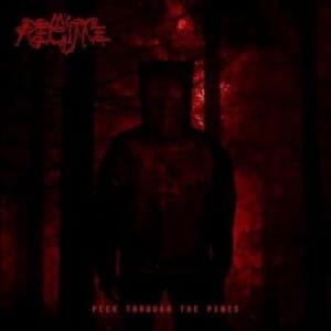 My Regime ‎– Peek Through The Pines CD