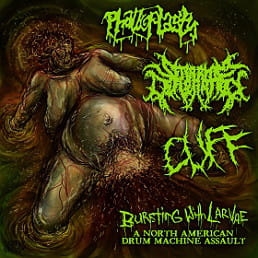 Phalloplasty, Seraphim Defloration, Cuff ‎– Bursting With Larvae: A North American Drum Machine Assault CD