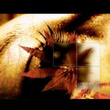 Cephalic Carnage ‎– Conforming To Abnormality CD