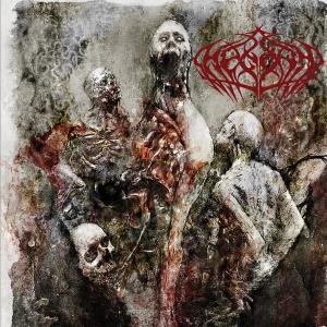 Hegony ‎– First Stab CD