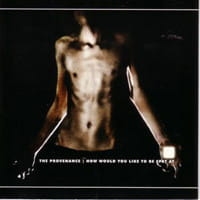 The Provenance ‎– How Would You Like To Be Spat At CD