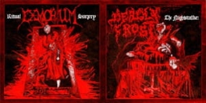 Deadly Frost / Exmortum ‎– The Nightstalker / Ritual Surgery CD