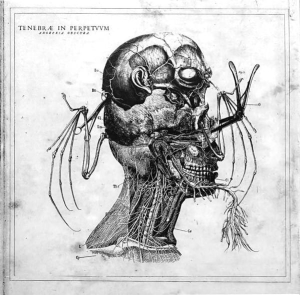 Tenebrae In Perpetuum ‎– Anorexia Obscura CD