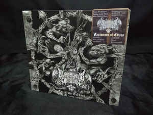 Blasphemous Division ‎– Regiments Of Chaos CD